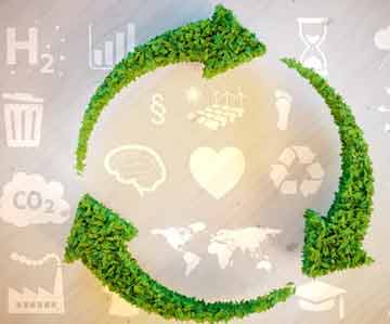 Sustainability and Business