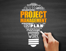Strategic Project Management & Implementation