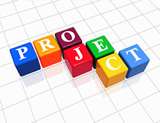Capstone Project