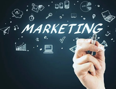 Marketing Managers