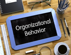 Organisational Behaviour and Performance