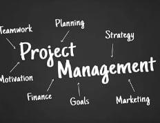 Strategic Project Management and Implementation