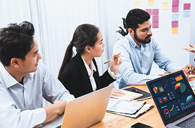 Certified Project Management Professional