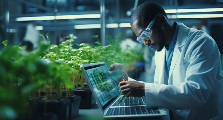 How IT is Boosting Agricultural Productivity in Africa