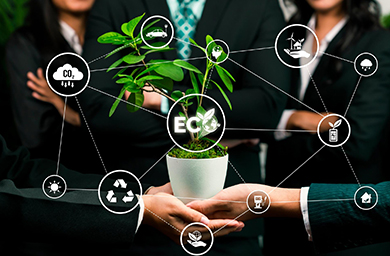 DBA in Sustainable Business