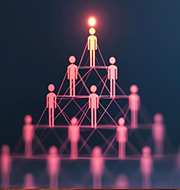 Leadership & Organizational Transformation