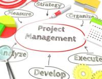 Strategic Project Management & Implementation