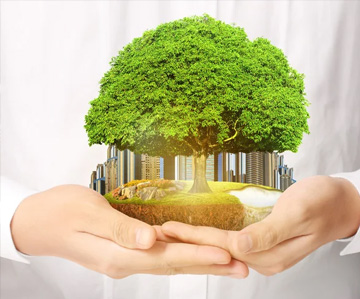Sustainability and Business