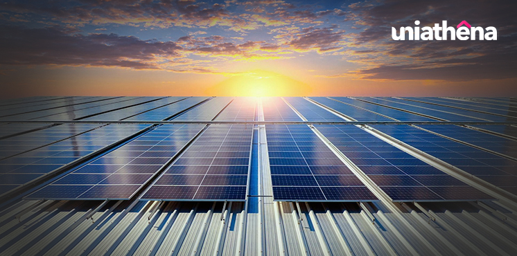 Are Solar Panels Really Eco-Friendly The Untold Story of Their Waste