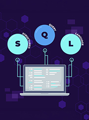 Structured Query Language