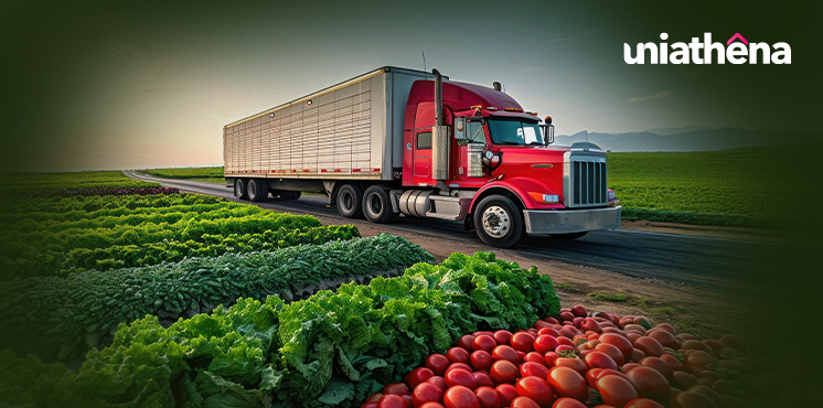 Understanding the Role of Supply Chain in Agriculture
